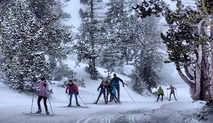 Lägenhet Edificio Ardillas Benasque